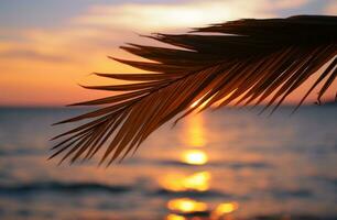ai generato palma foglia su sole impostato al di sopra di oceano foto