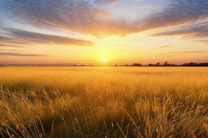 ai generato d'oro ora tramonto su il campo. professionista foto