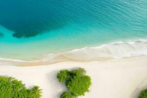 ai generato aereo Visualizza di il tropicale spiaggia e oceano. professionista foto