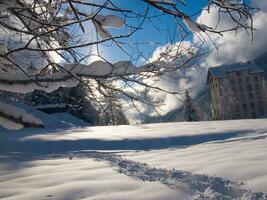 un' nevoso campo con un' albero e un' edificio foto