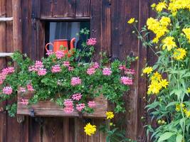 un' di legno finestra con un' fiore scatola su esso foto