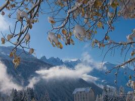 un' nevoso montagna con alberi e neve su il terra foto