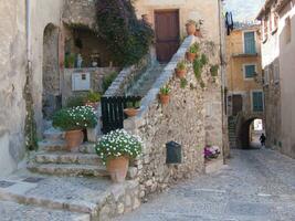 un' pietra scala con fiori nel pentole foto