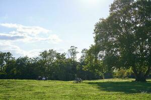 soleggiato giorno nel parco. paesaggio di verde erba e Due biciclette in piedi vicino albero, raggi di sole illuminazione su il scena foto