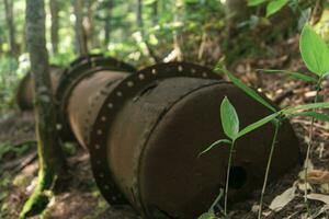 resti di arrugginito industriale attrezzatura tra il foresta foto