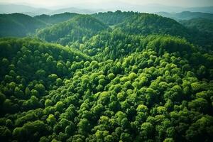 ai generato aereo Visualizza di al di sopra di buio pino foresta alberi. superiore giù fuco Visualizza. foto