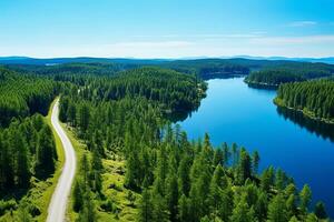 ai generato aereo Visualizza di un' strada nel il mezzo di il foresta foto