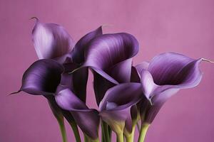 ai generato mazzo di viola calla gigli contro viola sfondo.ai generato foto