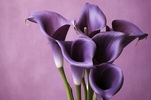 ai generato mazzo di viola calla gigli contro viola sfondo.ai generato foto