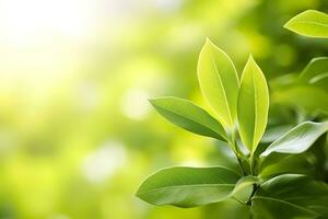 ai generato natura di verde foglia nel un' giardino nel estate sotto luce del sole. primavera sfondo. ai generato foto