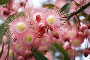 ai generato bellissimo gomma albero rosa fiori e mini cuffie. ai generato foto