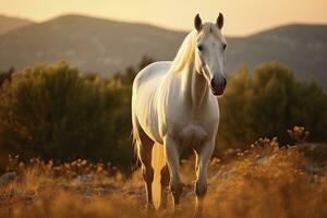 ai generato bianca cavallo o cavalla nel il montagne a tramonto. ai generato foto