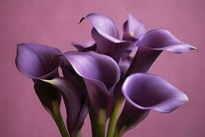 ai generato mazzo di viola calla gigli contro viola sfondo.ai generato foto