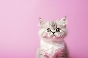 ai generato gatto su rosa sfondo. ai generato foto