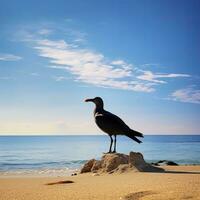 ai generato gabbiano su il spiaggia sotto blu cielo. foto