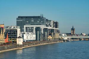 rheinauhafen argine e colonia kranhaus foto