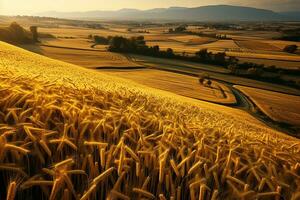 ai generato Grano orecchio agricoltura azienda agricola paesaggio foto