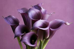 ai generato mazzo di viola calla gigli contro viola sfondo.ai generato foto