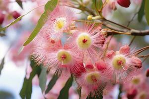 ai generato bellissimo gomma albero rosa fiori e mini cuffie. ai generato foto