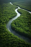 ai generato aereo Visualizza di il Amazonas giungla paesaggio con fiume piegare. generativo ai foto