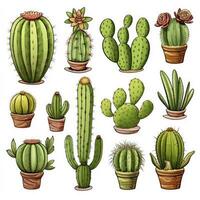 ai generato il cactus impostato su bianca sfondo. clipart illustrazioni. ai generato foto