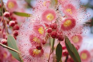 ai generato bellissimo gomma albero rosa fiori e mini cuffie. ai generato foto