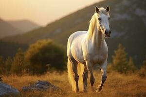 ai generato bianca cavallo o cavalla nel il montagne a tramonto. ai generato foto