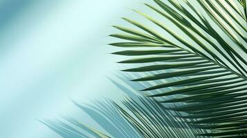 ai generato superiore Visualizza di palma le foglie su blu sfondo copia spazio, tropicale palma le foglie a partire dal sopra - piatto posare foto