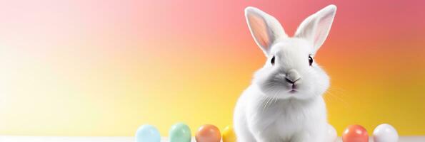 ai generato Pasqua coniglietto e Pasqua uova su colorato sfondo. Pasqua striscione. bianca coniglio contro arcobaleno sfondo. foto
