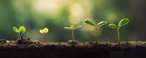 ai generato crescita alberi concetto caffè fagiolo piantine natura sfondo bellissimo verde. ai generato foto