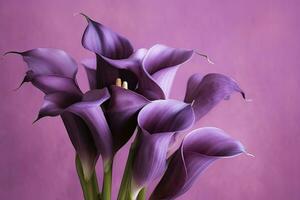 ai generato mazzo di viola calla gigli contro viola sfondo.ai generato foto