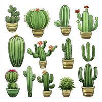 ai generato il cactus impostato su bianca sfondo. clipart illustrazioni. ai generato foto