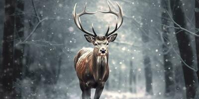ai generato nobile cervo maschio nel il inverno neve foresta. artistico inverno Natale paesaggio. ai generato foto
