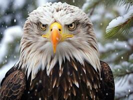 ai generato americano Calvo aquila nel il natura sfondo foto