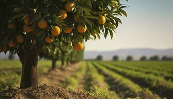 ai generato un arancia albero è nel il primo piano con un' azienda agricola campo sfondo. generativo ai foto