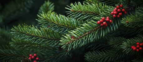 ai generato Natale albero rami su un' naturale sfondo. ai generato foto