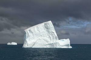bottaio baia, galleggiante iceberg, Sud Georgia, Sud Georgia e il Sandwich isole, Antartide foto