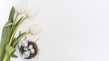 nido di uova di quaglia di tulipani