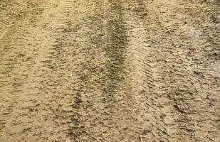 ruota traccia su fango. tracce di un' trattore o pesante fuori strada auto su Marrone fango nel bagnato prato foto