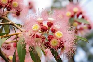 ai generato bellissimo gomma albero rosa fiori e mini cuffie. ai generato foto