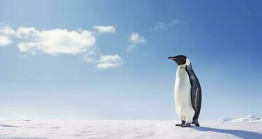 ai generato pinguino in piedi nel Antartide guardare in il blu cielo. ai generato foto