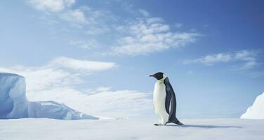 ai generato pinguino in piedi nel Antartide guardare in il blu cielo. ai generato foto