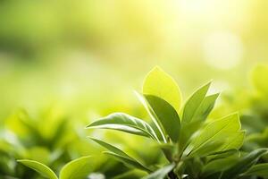 ai generato natura di verde foglia nel un' giardino nel estate sotto luce del sole. primavera sfondo. ai generato foto