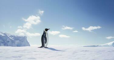ai generato pinguino in piedi nel Antartide guardare in il blu cielo. ai generato foto