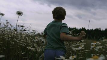 il ragazzo corre attraverso il prato con fiori. creativo. posteriore Visualizza di un' bambino in esecuzione attraverso un' campo di margherite. un' bambino nel blu Abiti corre attraverso il alto erba con margherite foto