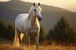 ai generato bianca cavallo o cavalla nel il montagne a tramonto. ai generato foto