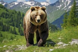 ai generato Marrone orso in movimento su il verde prato nel primavera natura. ai generato foto