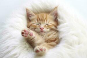 ai generato rosso gattino, gatto addormentato carino su bianca pelliccia. generativo ai foto