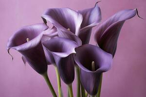 ai generato mazzo di viola calla gigli contro viola sfondo.ai generato foto