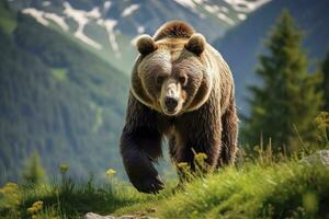 ai generato Marrone orso in movimento su il verde prato nel primavera natura. ai generato foto